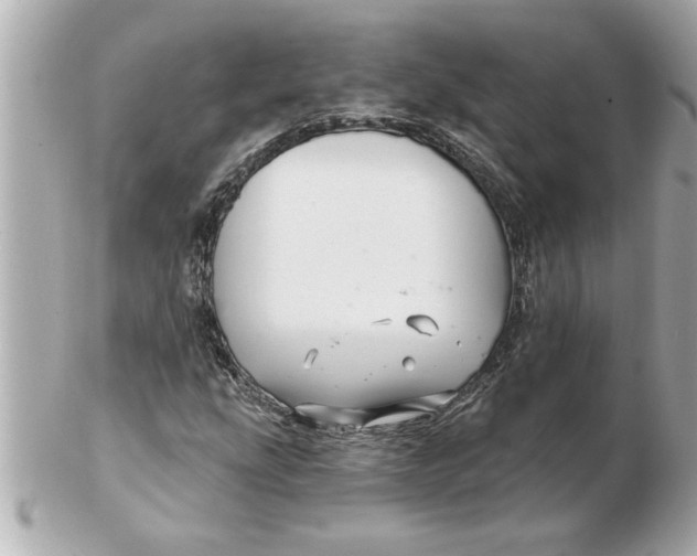 X0000102541207200808291834