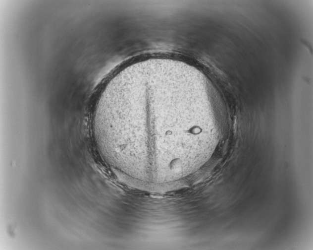 X0000102541208200808291834