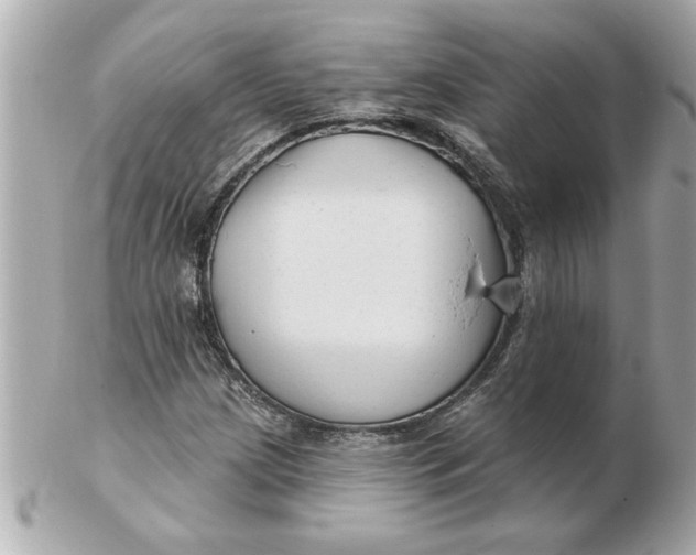 X0000102541209200808291834