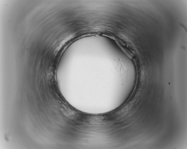 X0000102541210200808291834