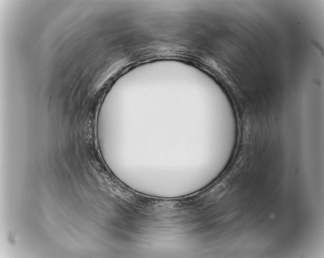 X0000102541211200808291834