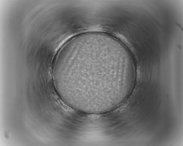 X0000102541212200808291834