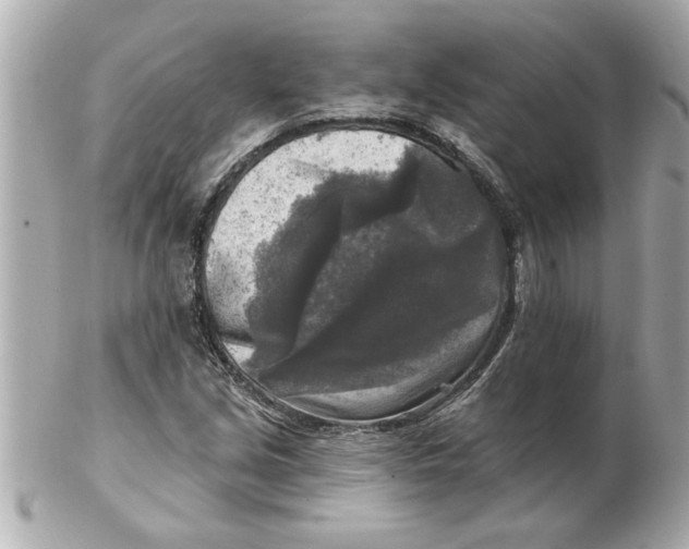 X0000102541213200808291834