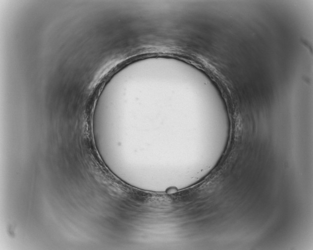 X0000102541215200808291834