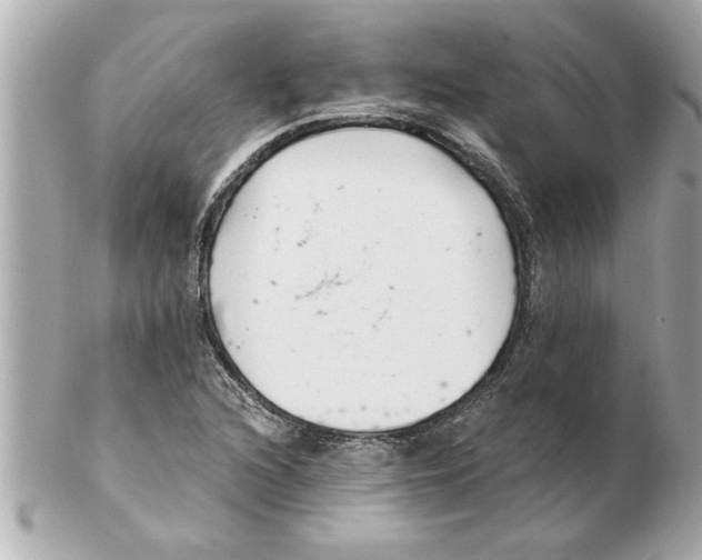 X0000102541216200808291834