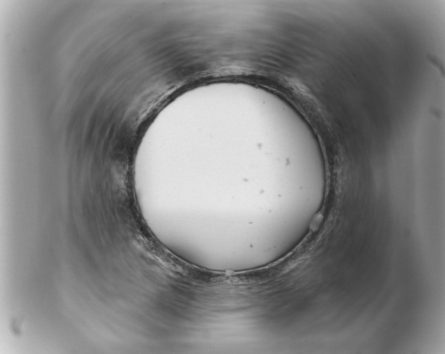 X0000102541217200808291834