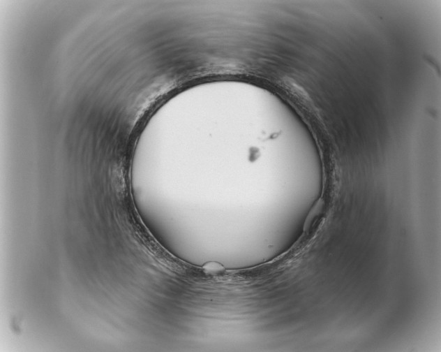 X0000102541218200808291835