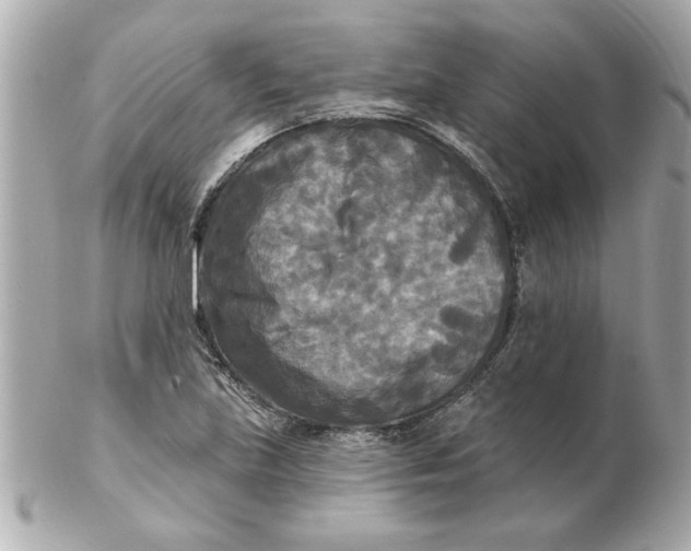 X0000102541219200808291835