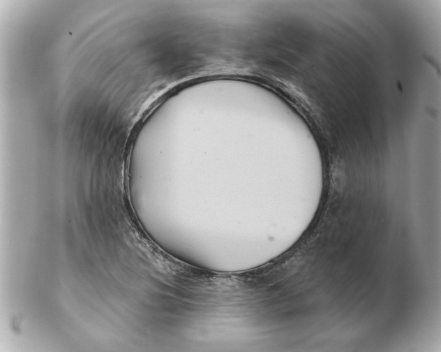 X0000102541220200808291835