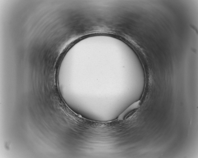 X0000102541222200808291835