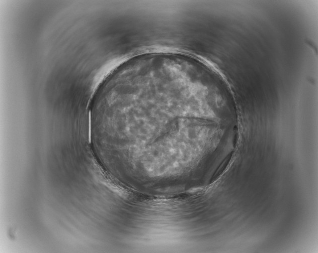 X0000102541223200808291835