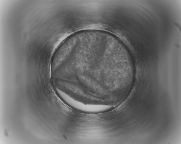 X0000102541224200808291835