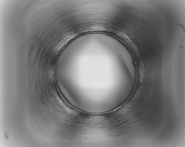 X0000102541225200808291835