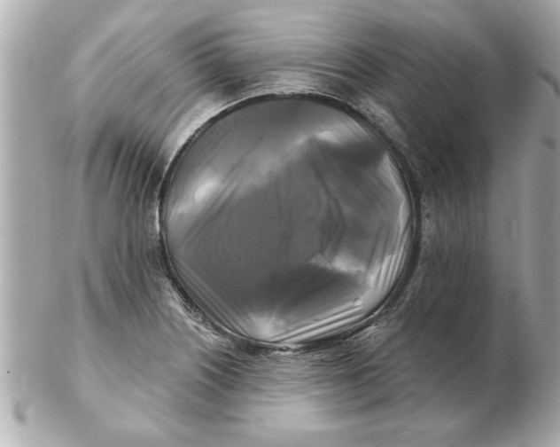 X0000102541226200808291835