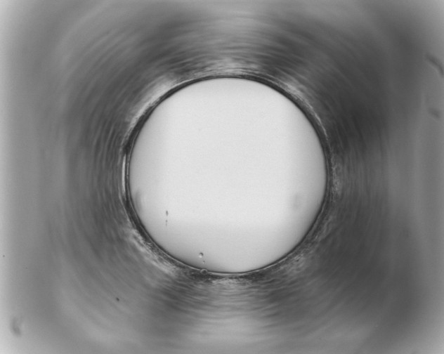 X0000102541227200808291835