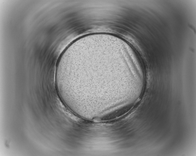 X0000102541228200808291835