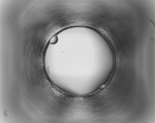 X0000102541230200808291835