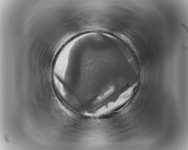 X0000102541231200808291835