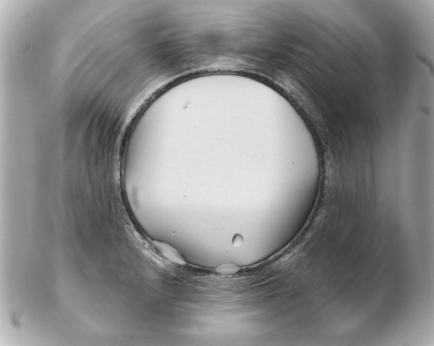 X0000102541232200808291835