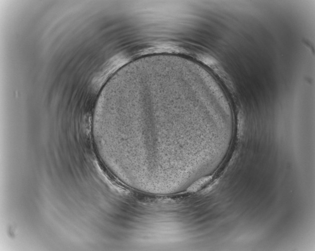 X0000102541233200808291835