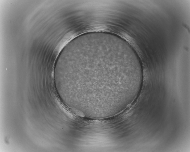 X0000102541234200808291835