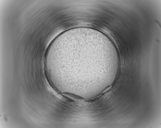 X0000102541235200808291835