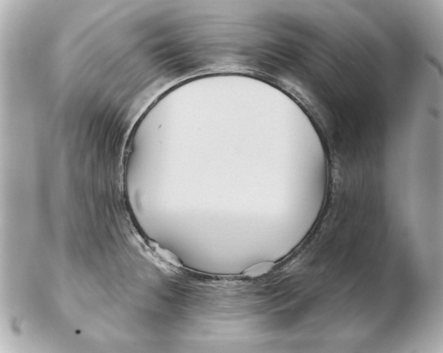 X0000102541236200808291835