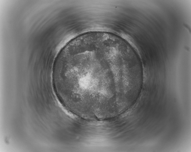 X0000102541237200808291835