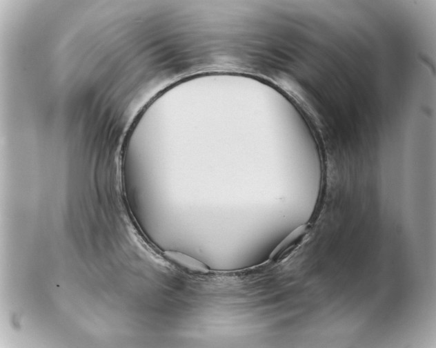 X0000102541238200808291835