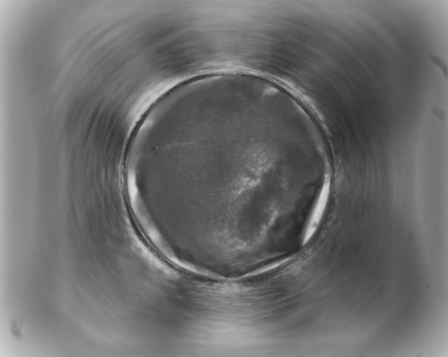 X0000102541239200808291835