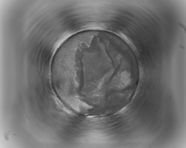 X0000102541240200808291835