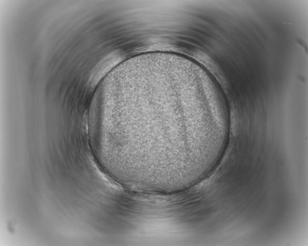 X0000102541241200808291835