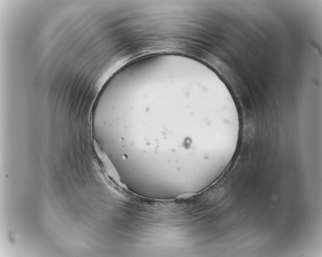 X0000102541242200808291835