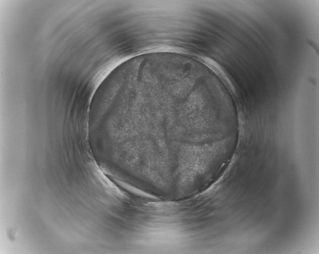 X0000102541244200808291835