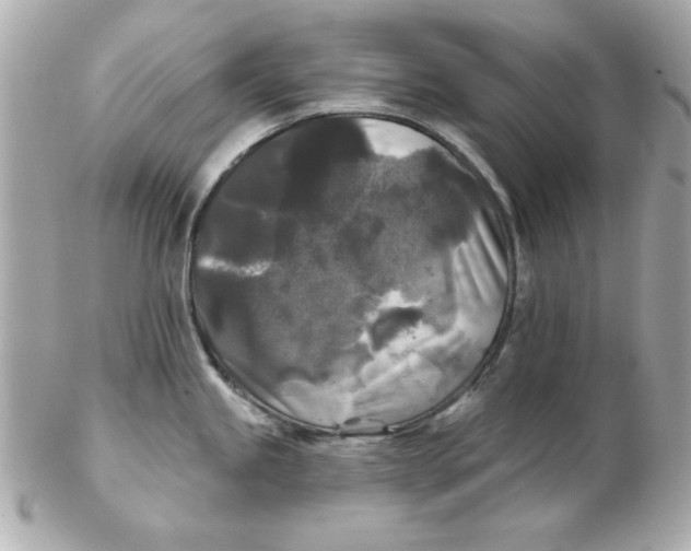 X0000102541245200808291835