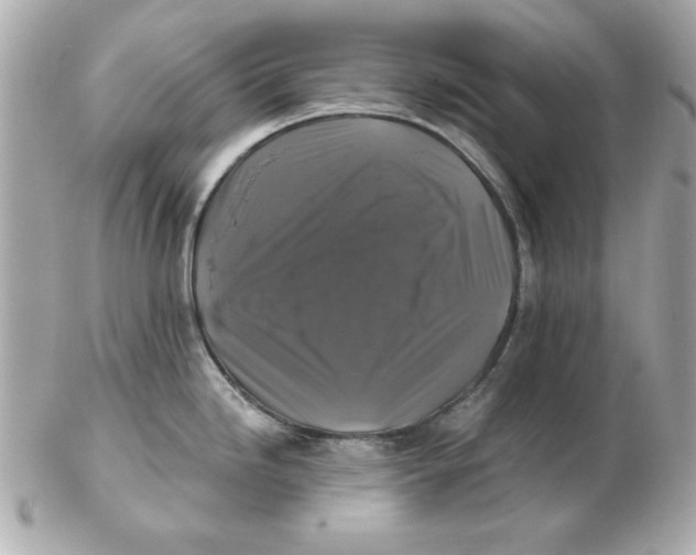 X0000102541246200808291835