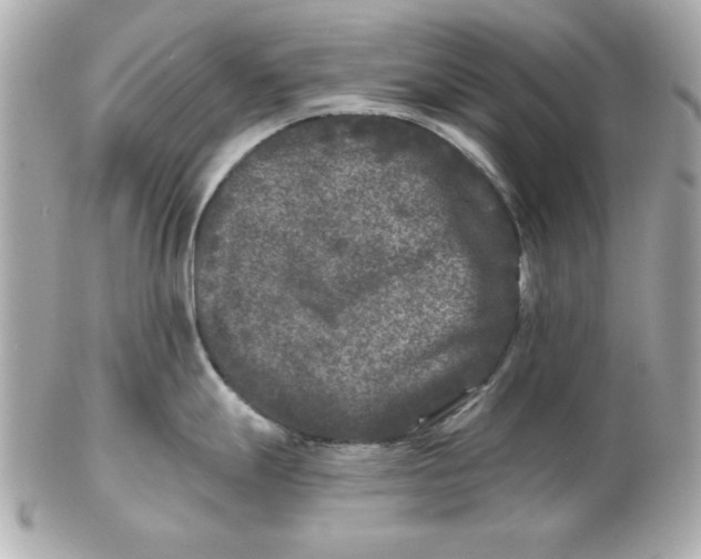 X0000102541247200808291835