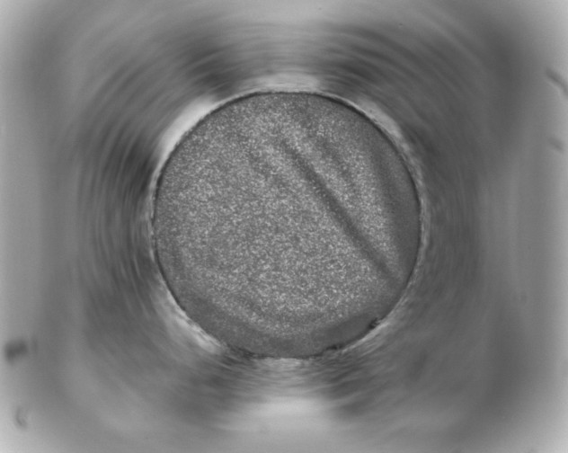 X0000102541248200808291835