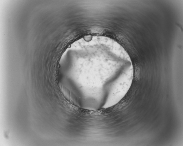 X0000102541249200808291834