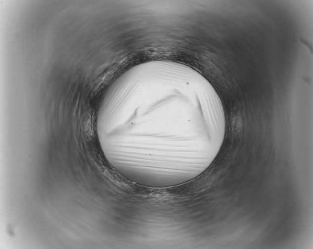 X0000102541250200808291834