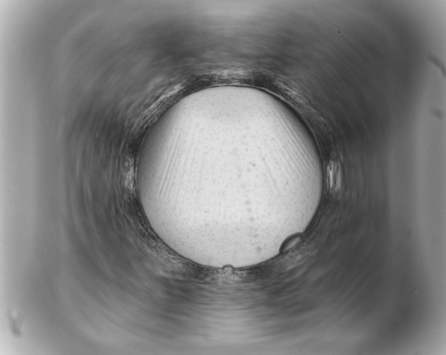 X0000102541251200808291834