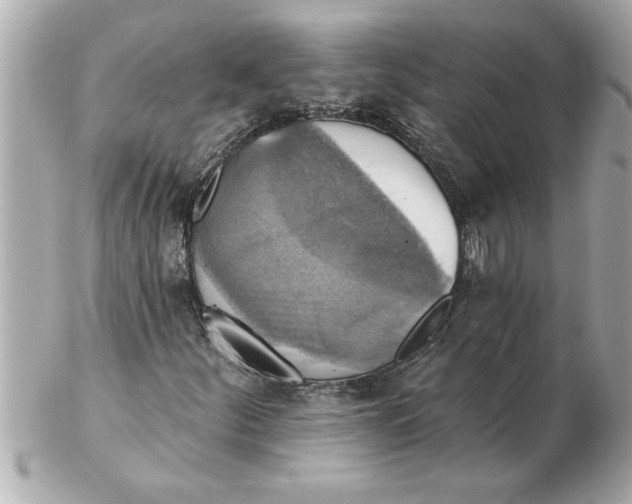 X0000102541252200808291834