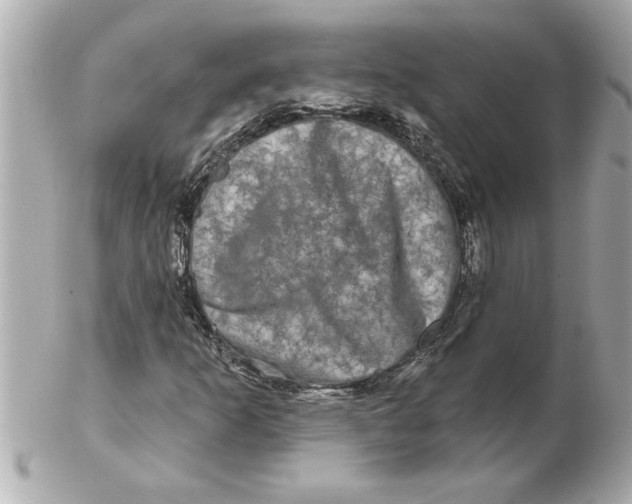 X0000102541253200808291834