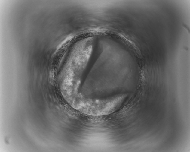 X0000102541254200808291834