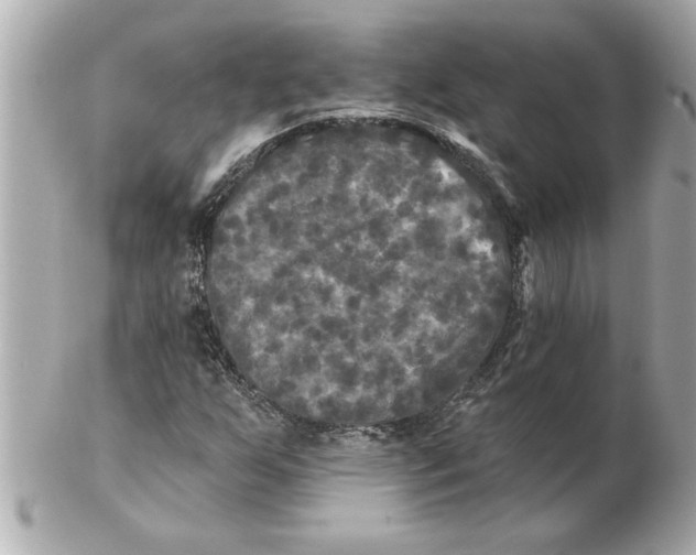 X0000102541255200808291834