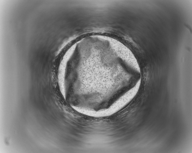 X0000102541256200808291834