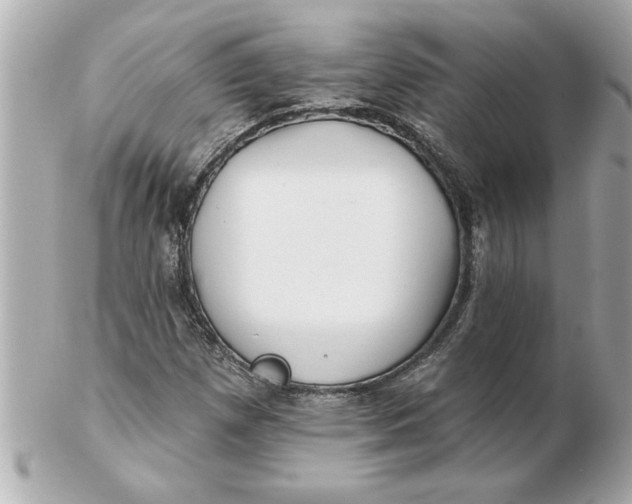 X0000102541257200808291834