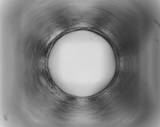 X0000102541258200808291834