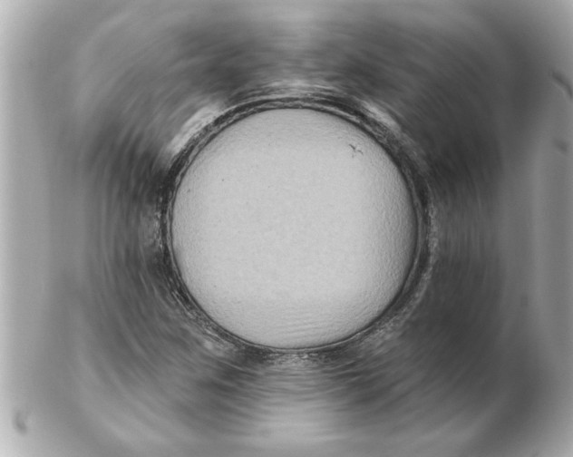 X0000102541259200808291834