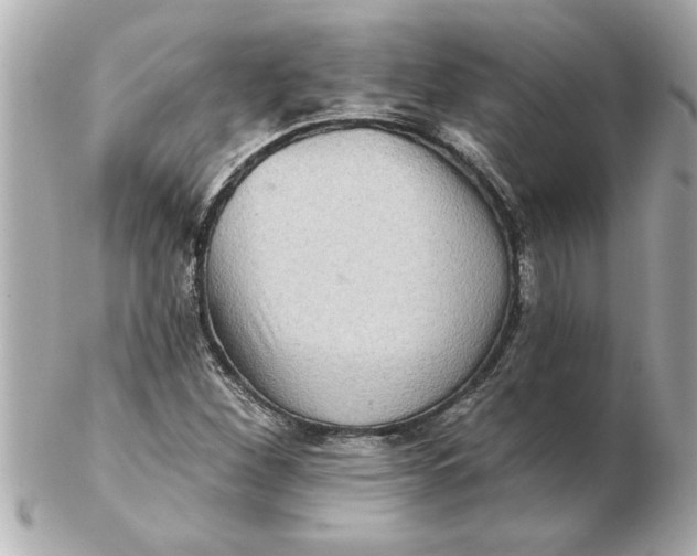 X0000102541260200808291834